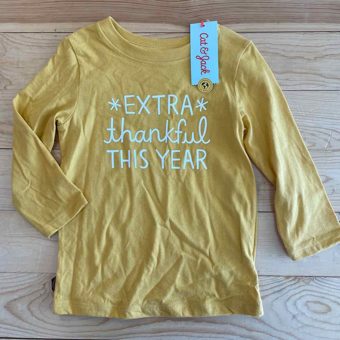 NEW! CAT JACK THANKFUL SHIRT 2T