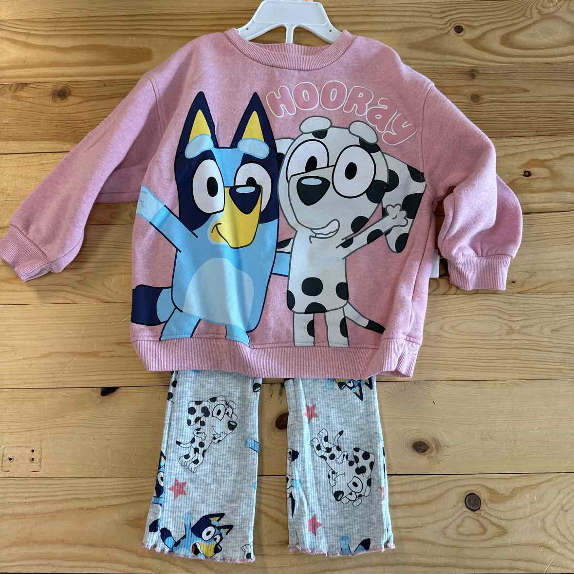 BLUEY OUTFIT 2T
