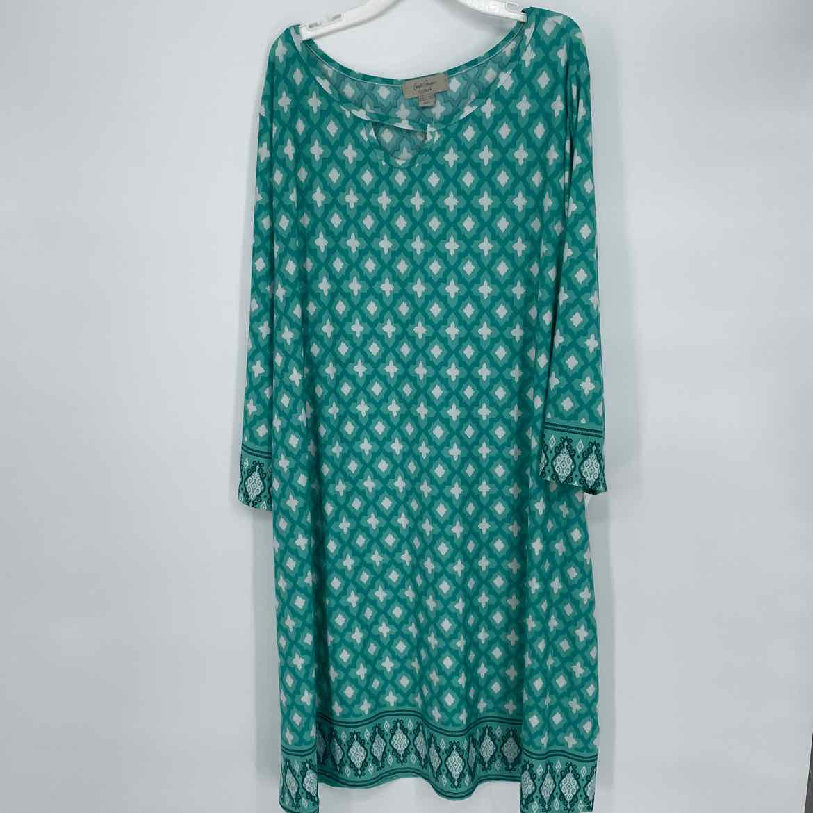 CHARLIE PAGE DRESS 1X
