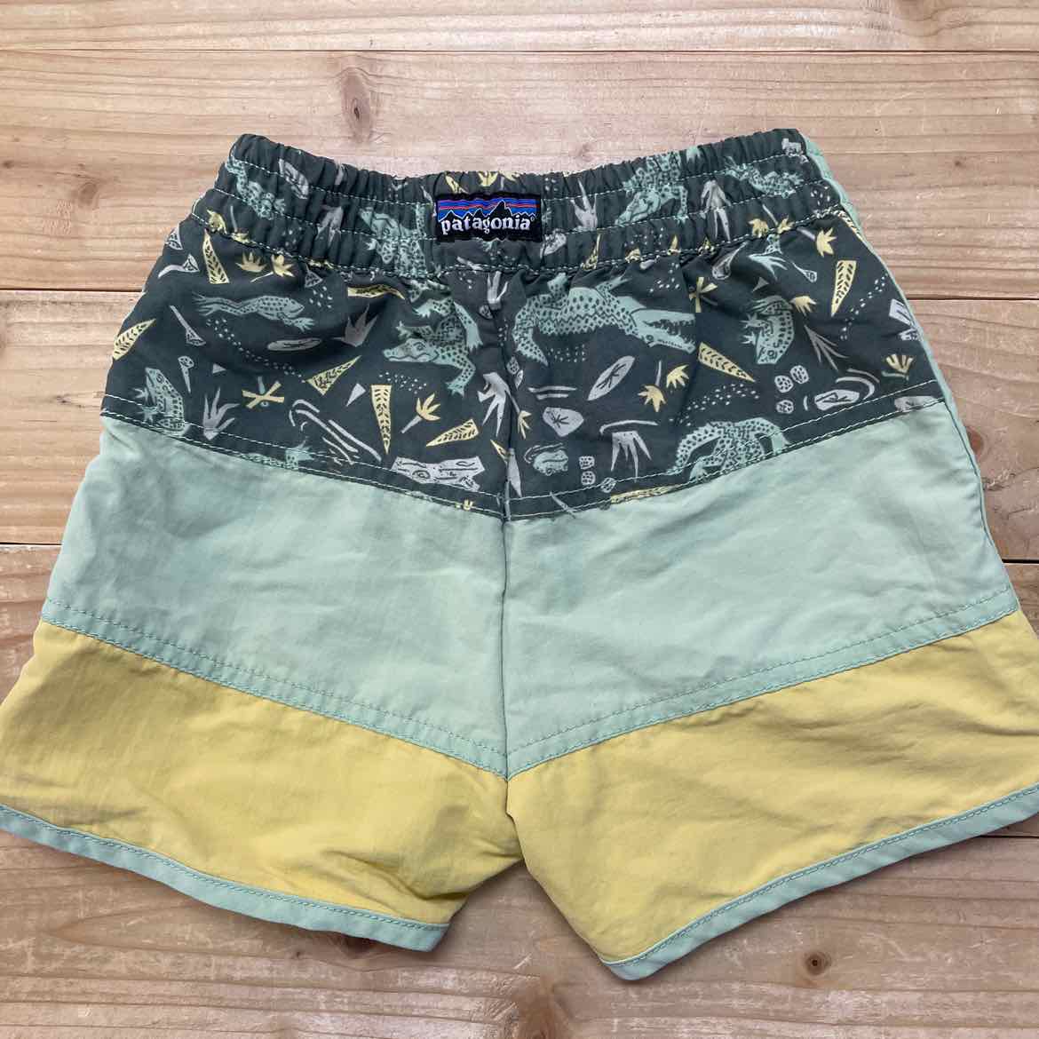 PATAGONIA SHORTS 4T