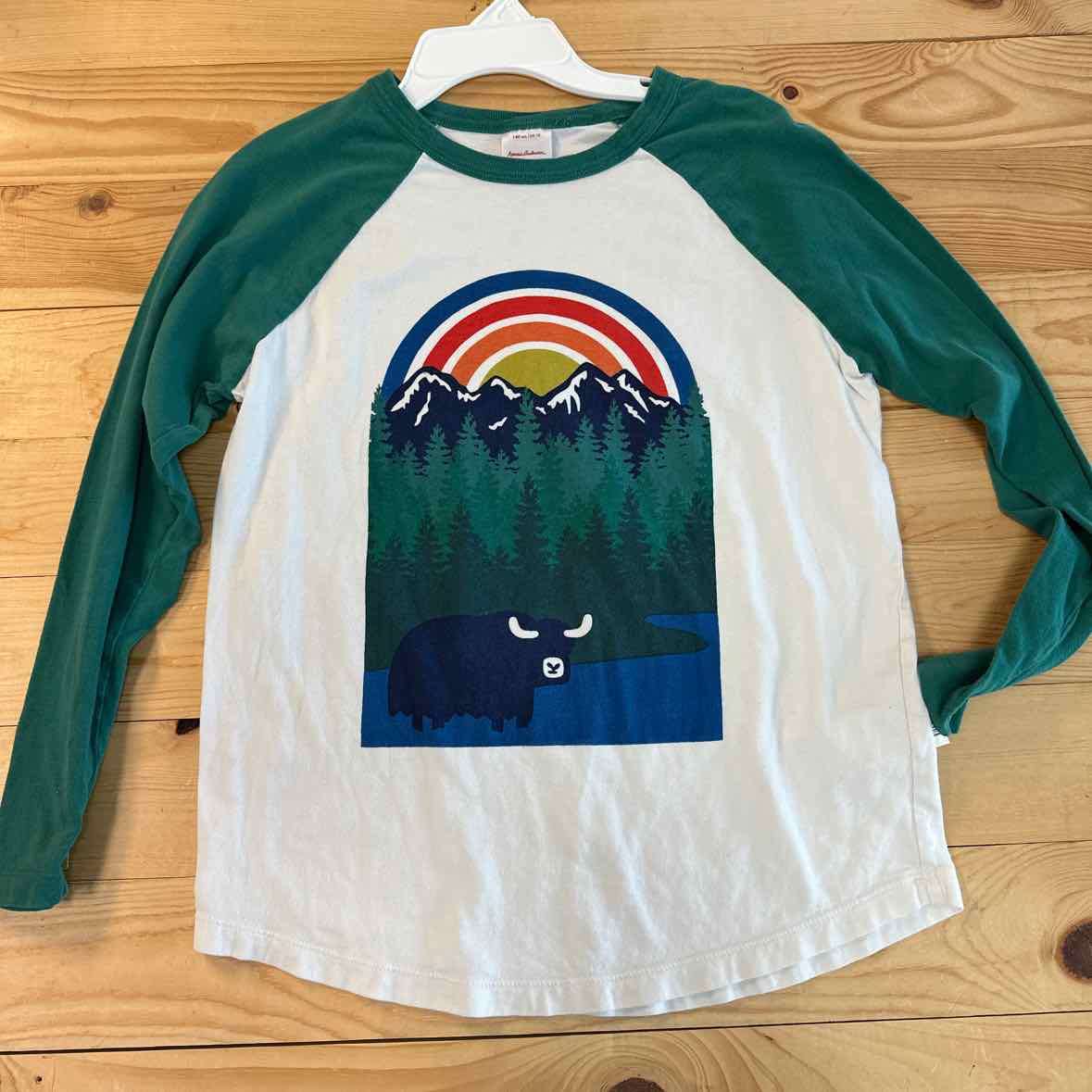 HANNA ANDERSSON SHIRT 10