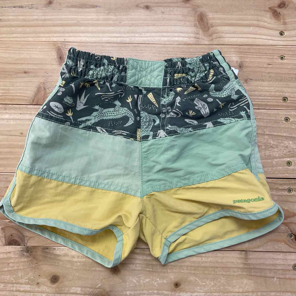 PATAGONIA SHORTS 4T