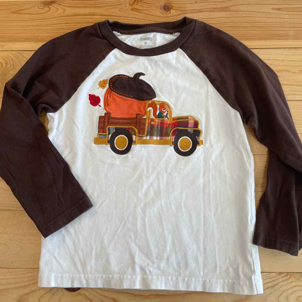 GYMBOREE FALL SHIRT 5