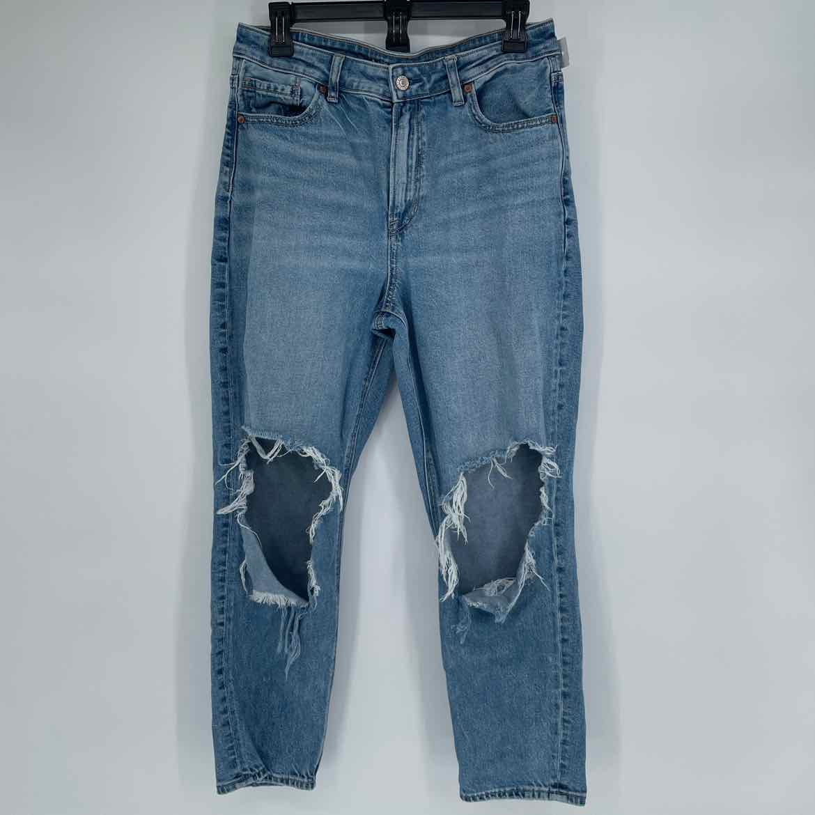 AMERICAN EAGLE JEANS 10 SHORT