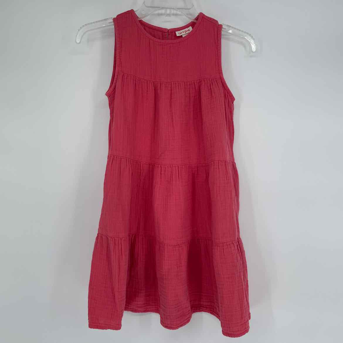 CAT & JACK DRESS 10