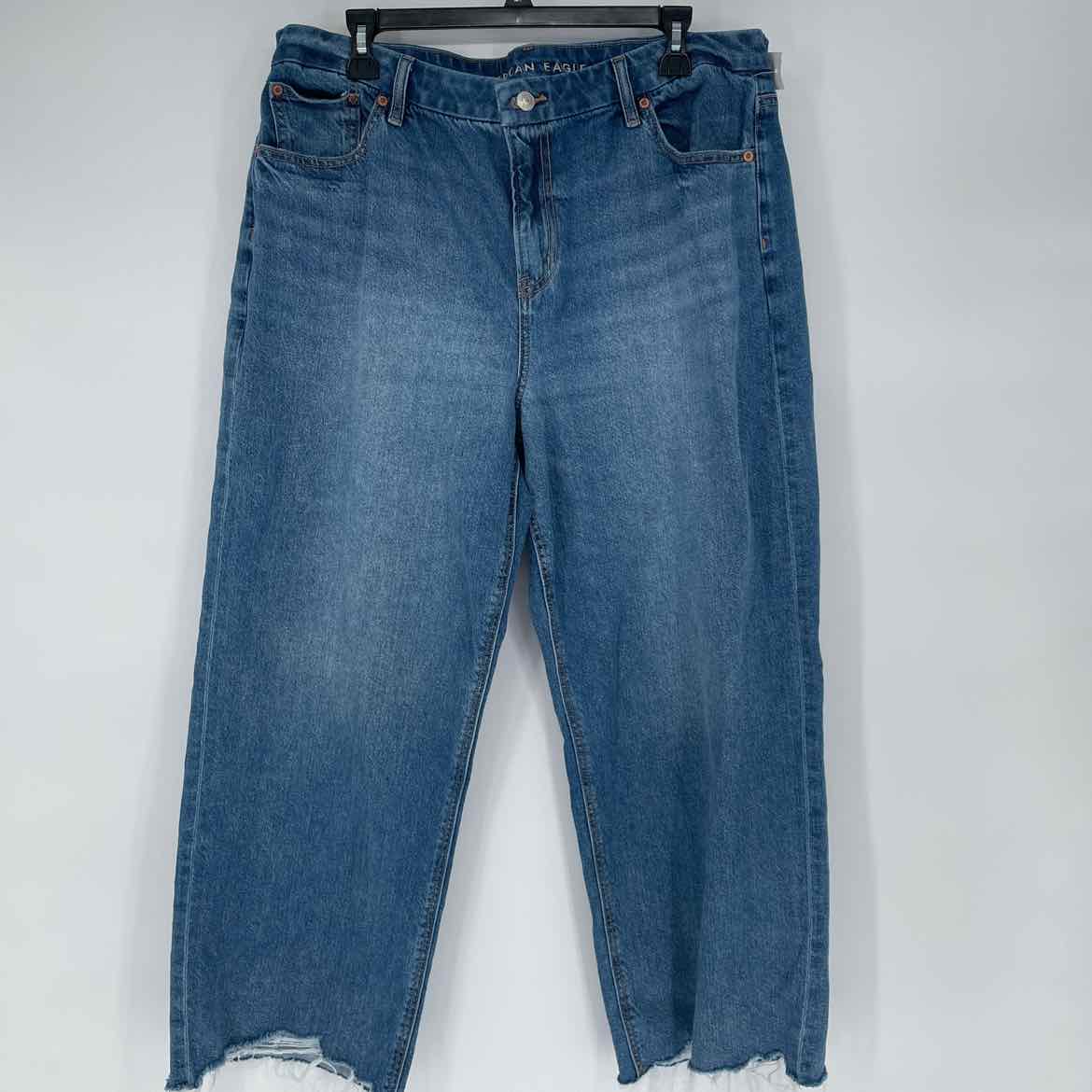 AMERICAN EAGLE CURVY STOVEPIPE JEANS 16S